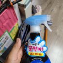 스타일러케이 이미지