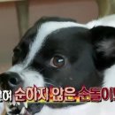 황소가든 이미지