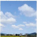 올래민박 이미지