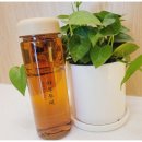 하루두피 수원광교점 이미지