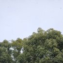 성복사 | 후쿠오카 쇼후쿠지 후쿠오카에서 가장 좋아하는곳