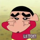 뚱배