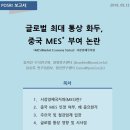 [POSRI 보고서] 글로벌 최대 통상 화두, 중국 MES 부여 논란 - 포스코경영연구원 이미지