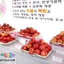 능금