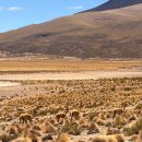 플랜B트레블 | 남미 유심 vs 이심 vs 로밍 비교 5개국·30일 이상 사용 후기