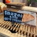 하이단양하이디
