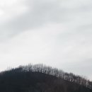 청송주유소 이미지