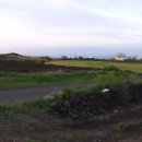 땅콩민박 이미지