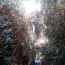 상후마을회관 이미지