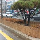 방풍벽 미디어투데이