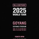인터넷PC월드 | 놓치면 평생 후회! BLACKPINK 2025 월드 투어 콘서트, 당신은 함께할 준비됐나요?