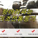 닥터크린랜드 이미지