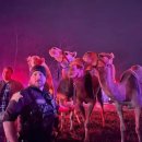 연기동물병원 이미지