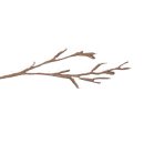 참나무도토리막국수