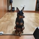 화이트 스포츠 이미지