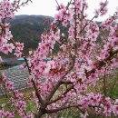 요셉목장 이미지