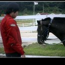광민농장 Daum카페