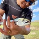 아이젠트리제주외도점 이미지