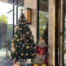 거북시장약국 | 7박9일 여행 3-4일차 (아르테호텔, 터미널21푸드코트, 쩟페어야시장, 짜뚜짝주말시장, 아속역 약국 쇼핑)