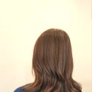 254-운정3-254 이미지