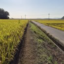 신망목장 이미지