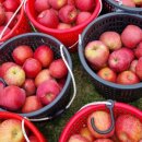 복연농장 이미지