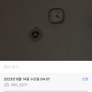걸스네일