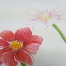 뎃생&수채화(기초반) 이미지