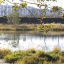 하천(유등천3) 이미지