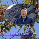 제주조이랜드