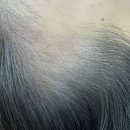 강남언니Salon