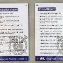 디디동물병원 이미지