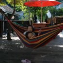 덕솔이네 이미지