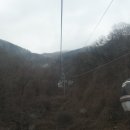 2021-02-27(토)덕유산 눈꽃 + 순천 홍매화 마을 이미지