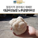 대금농장 이미지