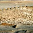 Point-태양의 이미지