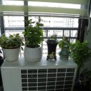 명륜동-7 이미지