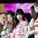 모모 이미지