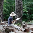 향기와 함께하는 몸과 마음 힐링 여행 이미지