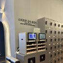석촌동물병원 | [석촌동 헬스장,바디컨설팅, PT샵, 체형분석] 짐모드피트니스 석촌점- 헬스장 후기