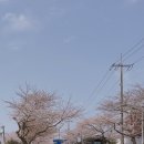 호근서호로 이미지