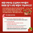 딸기카페 이미지