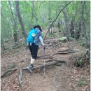 강선대화장실 | 칠보산 막장봉(제수리재~투구봉~막장봉~시묘사이계곡~절말주차장(9k) 26.7.5. 일요일
