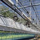 성형목장 이미지