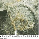 살아있는 한반도, 제16장 최후의 피난처 여수 이미지