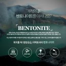 제니성형외과의원 이미지