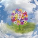 우아한 로미 네이버블로그