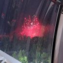 나이아가라오락실 이미지