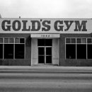 골드짐 휘트니스 이미지