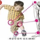 이큐빅에어보드 이미지